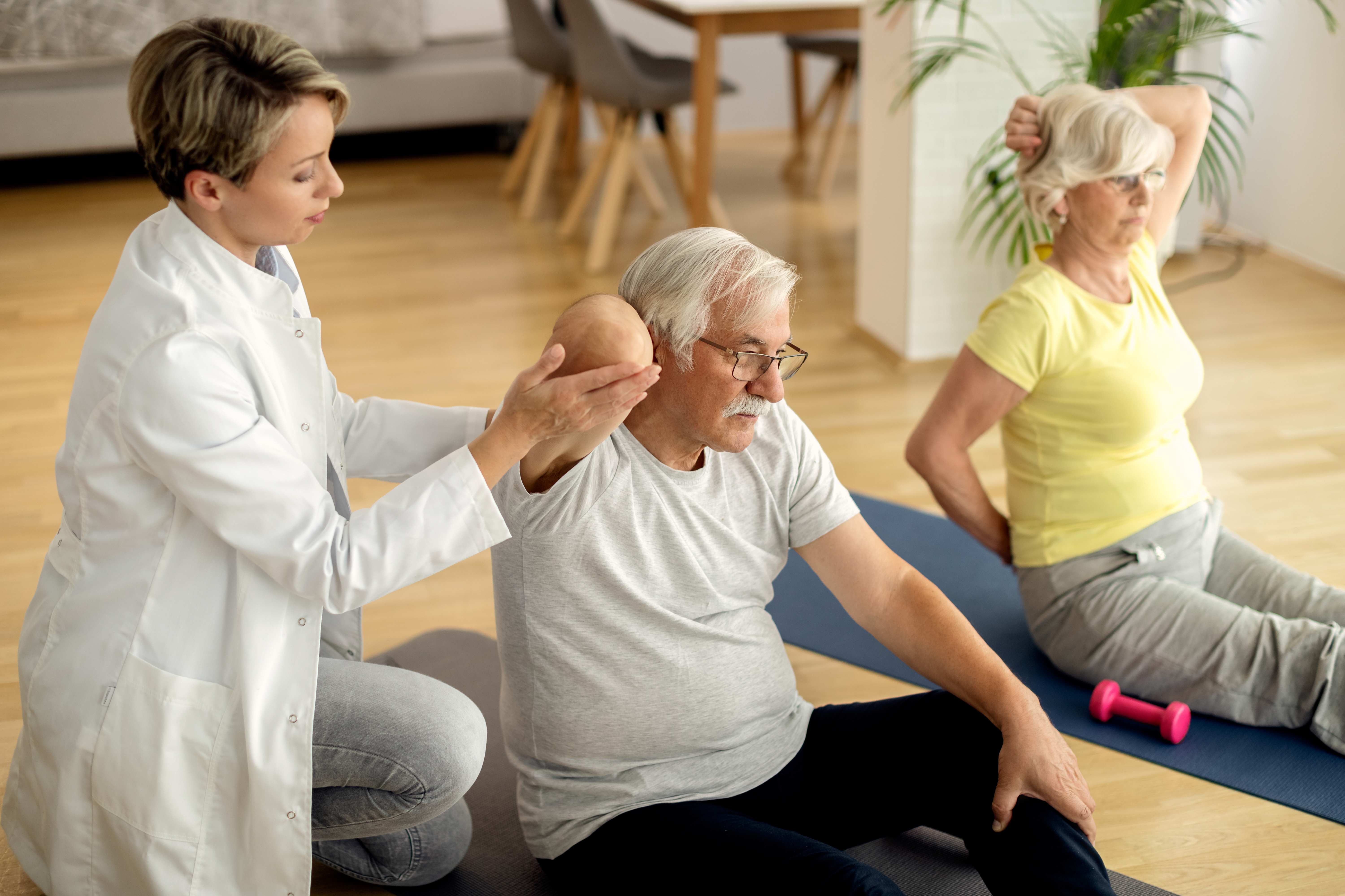 Elderly Population